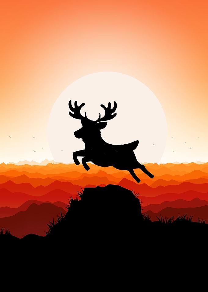 Deer Caribou Cute Animal