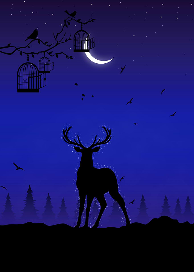 Animal Dear
