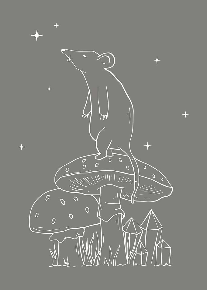 Cottagecore Mouse Mushroom