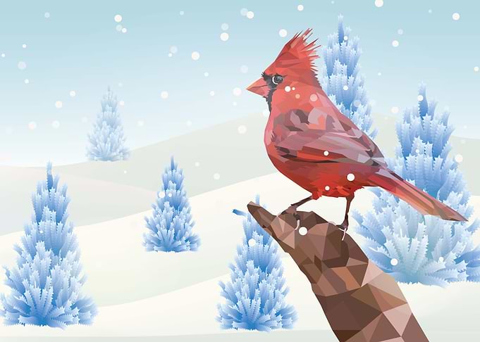 Red Winter