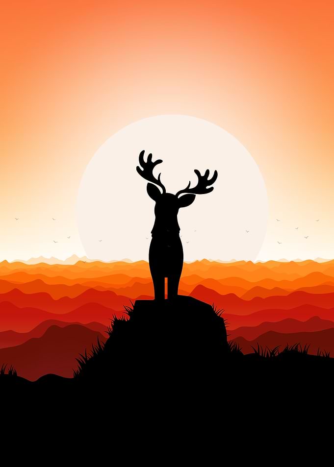 Deer Caribou Cute Animal