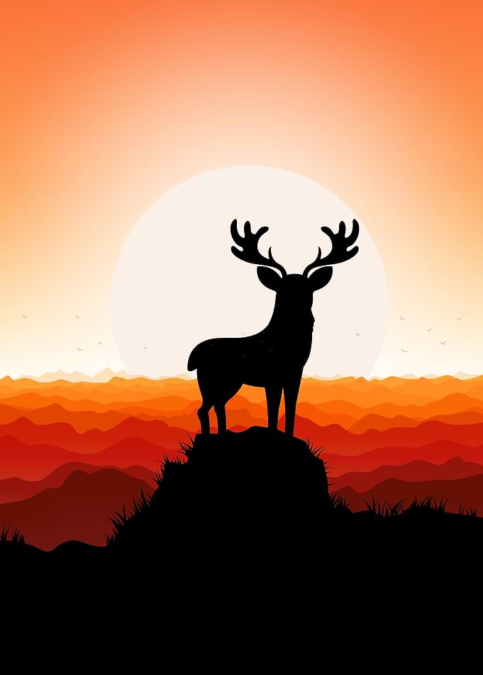 Deer Caribou Cute Animal