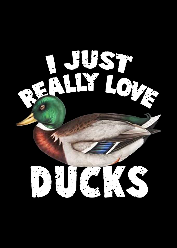 ducks