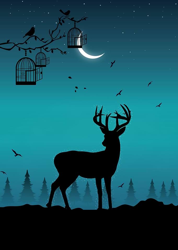 Animal Dear