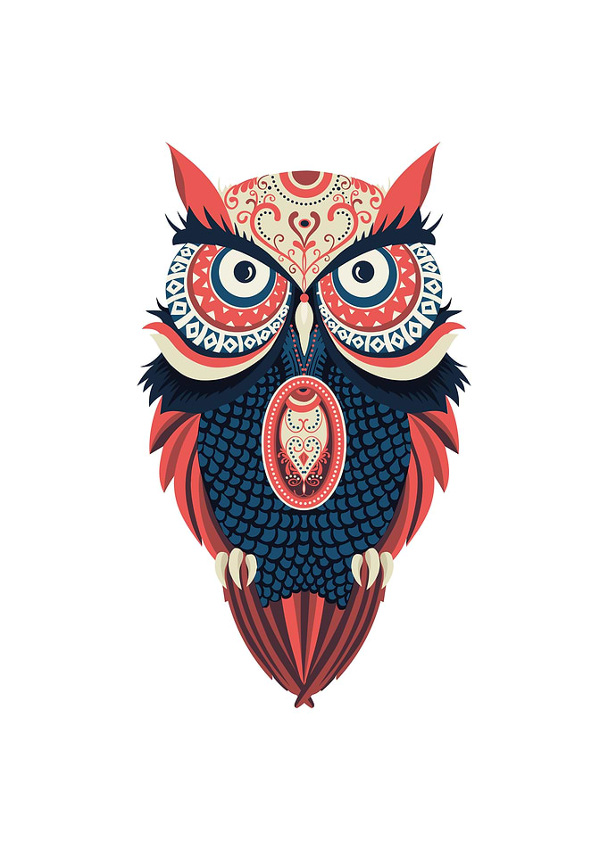 Colourful owl