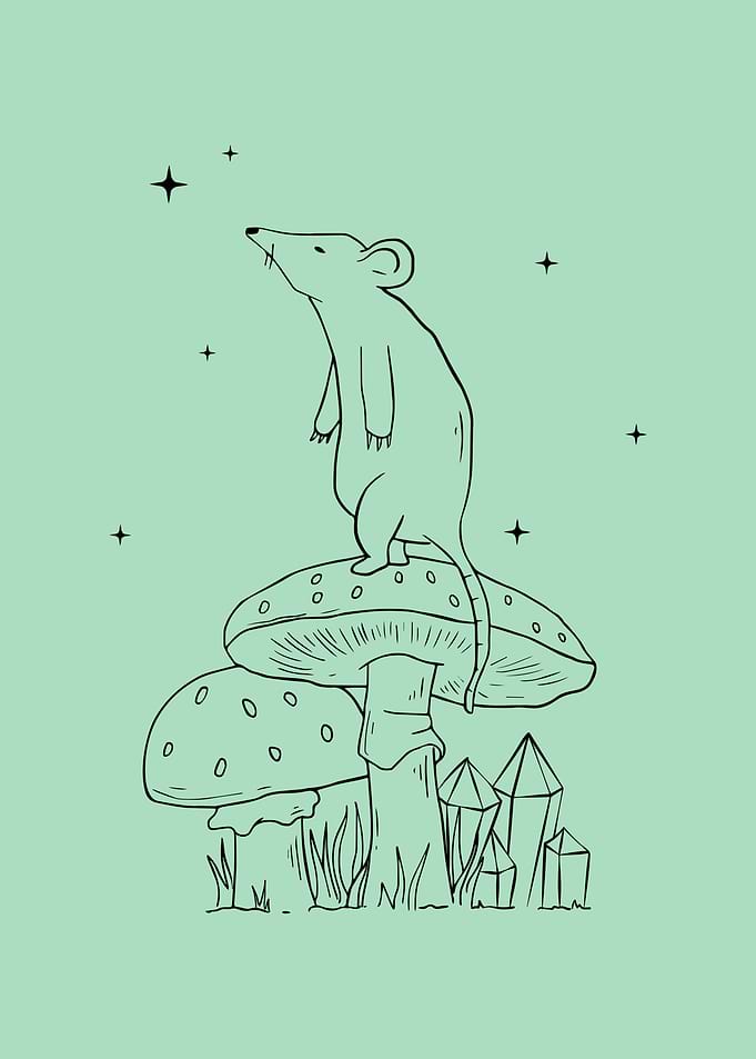 Cottagecore Mouse Mushroom
