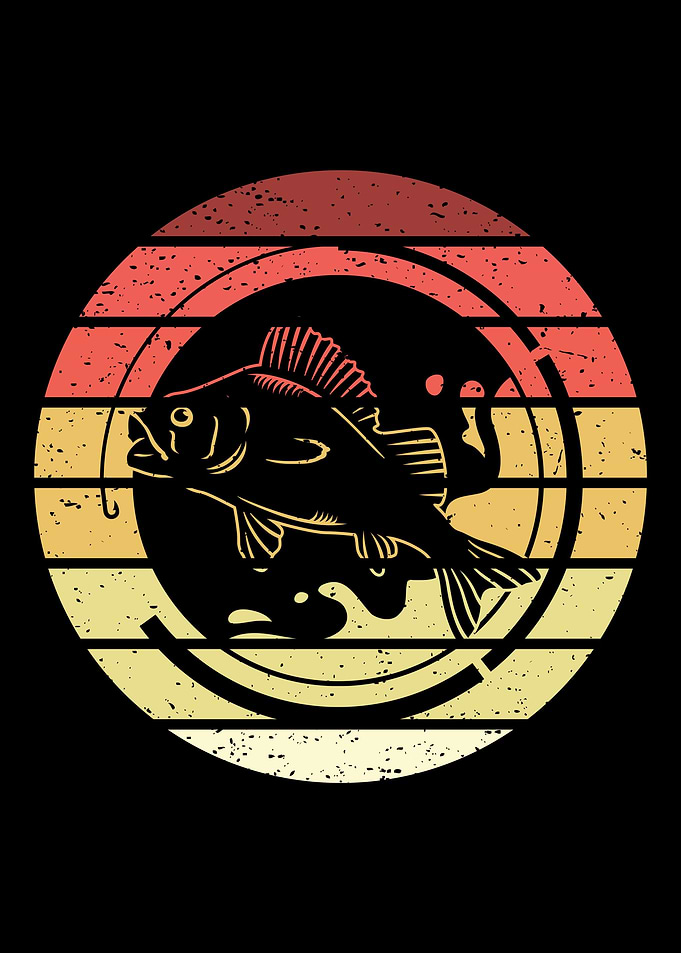 Fishing Retro Vintage