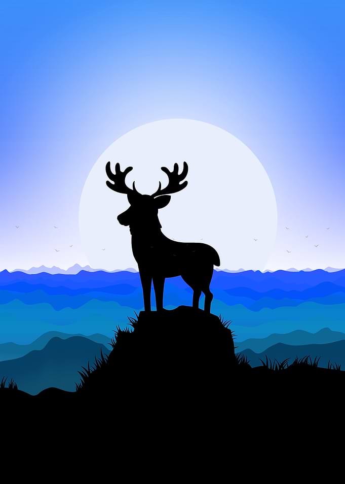Deer Caribou Cute Animal
