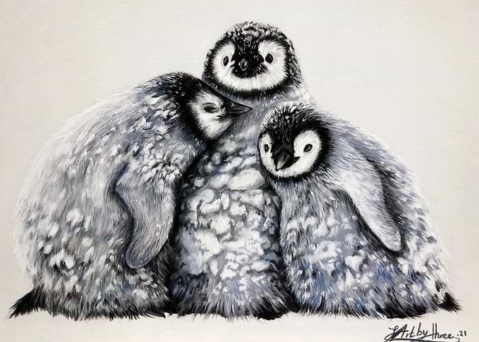 Trio of Penguin Chicks