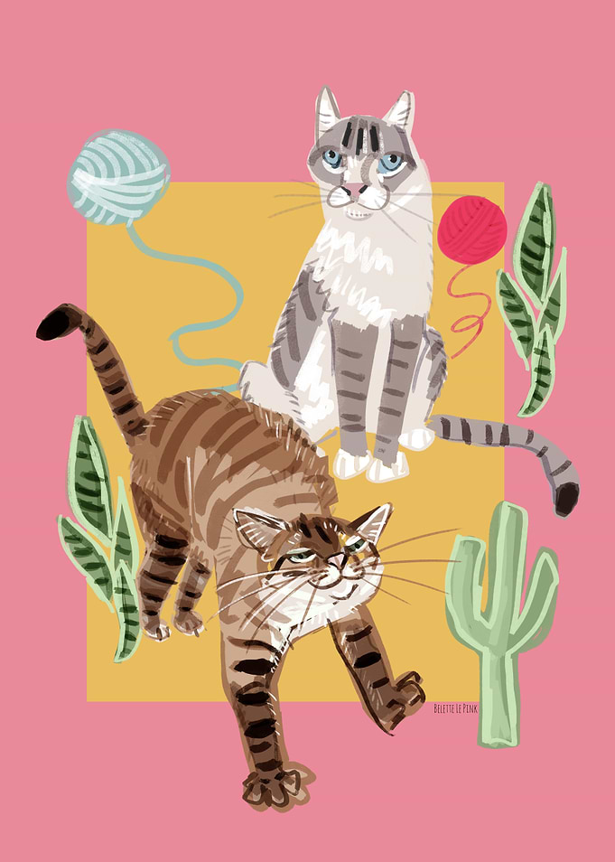 Ragdoll cats in Pink