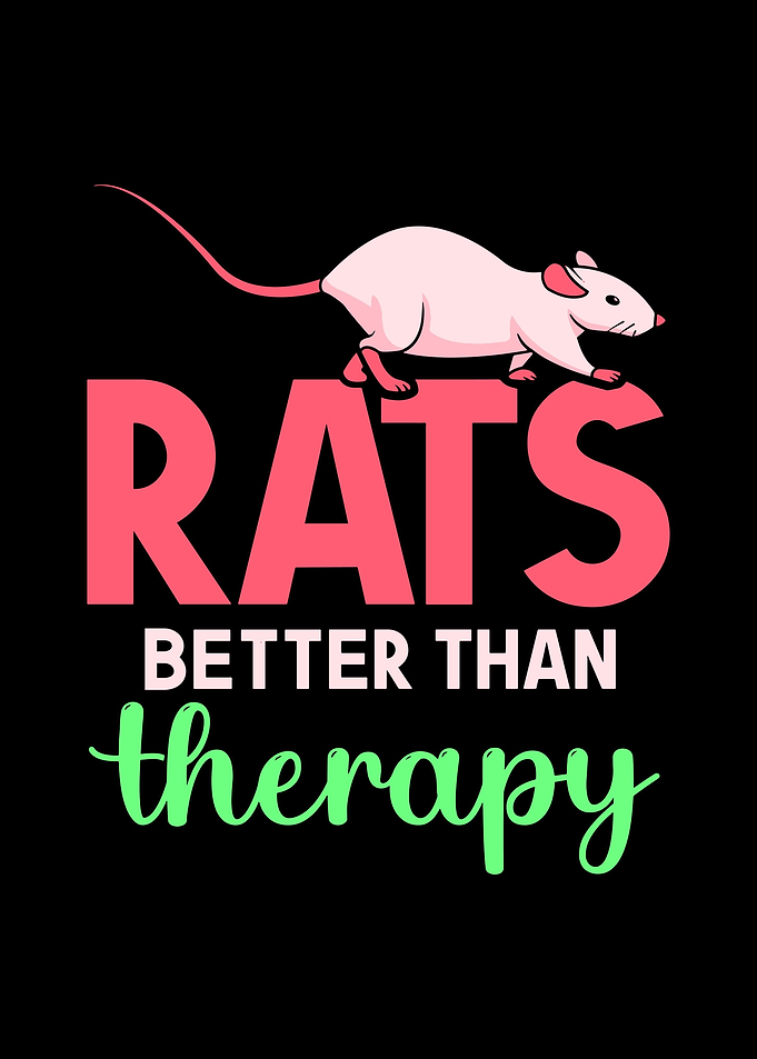 Rat