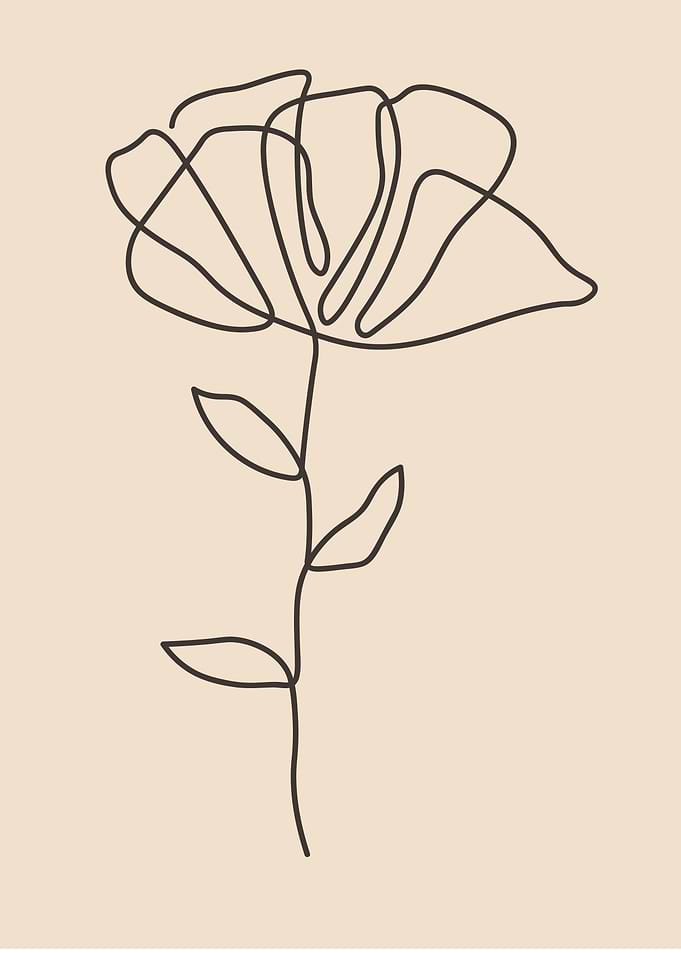 Flower continuous line art