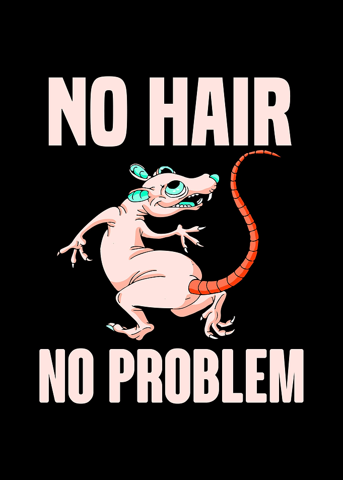 Hairless Rat