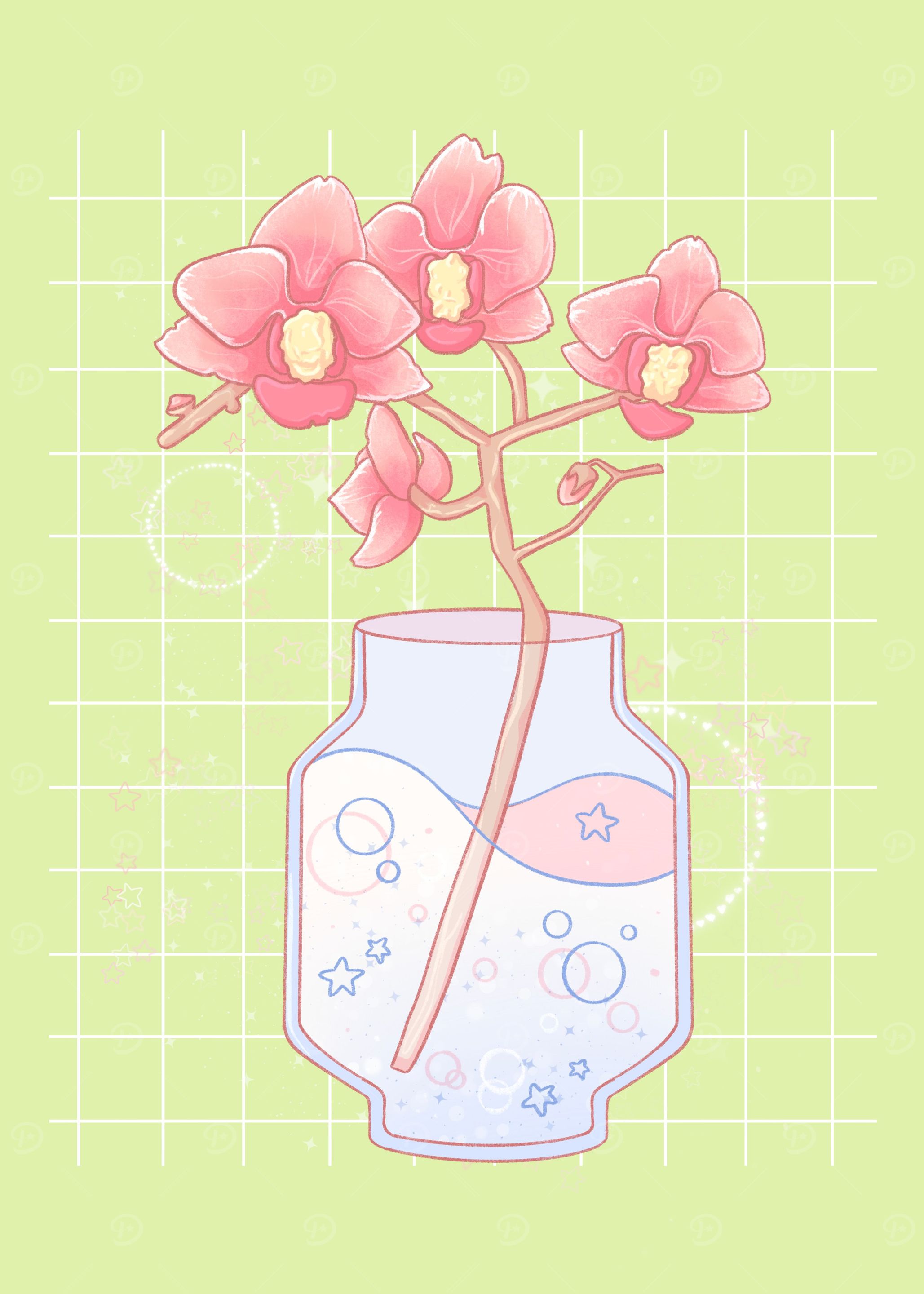 Its an Orchid Day
