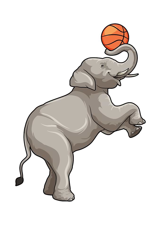 Elephant Basketball Sports