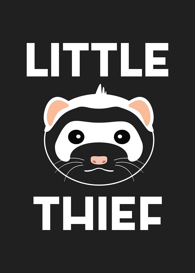 Little Thief