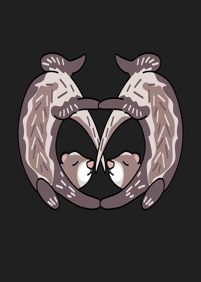 Ferret Heart Love