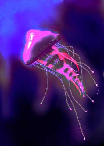lonely jellyfish