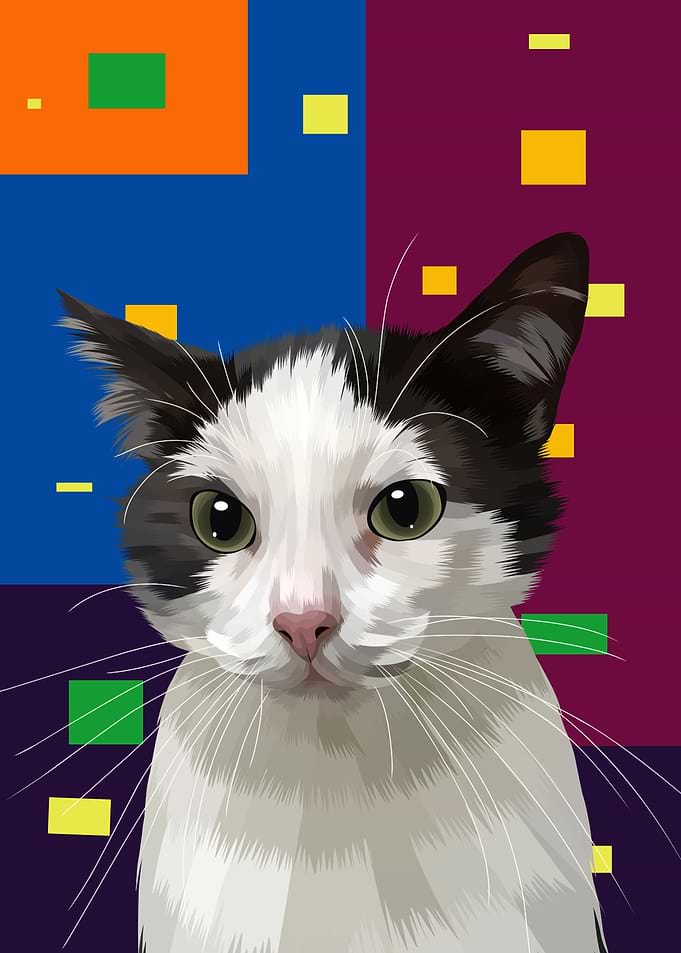 the domestic cat