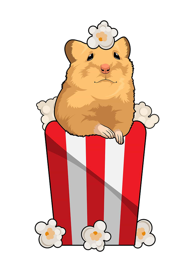 Hamster Popcorn