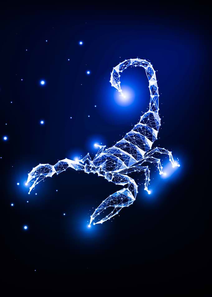 Cosmic Scorpion Animal