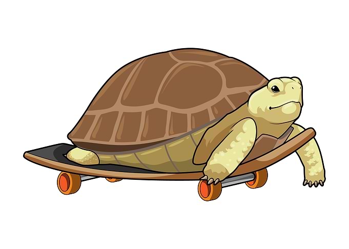 Turtle Skater Skateboard
