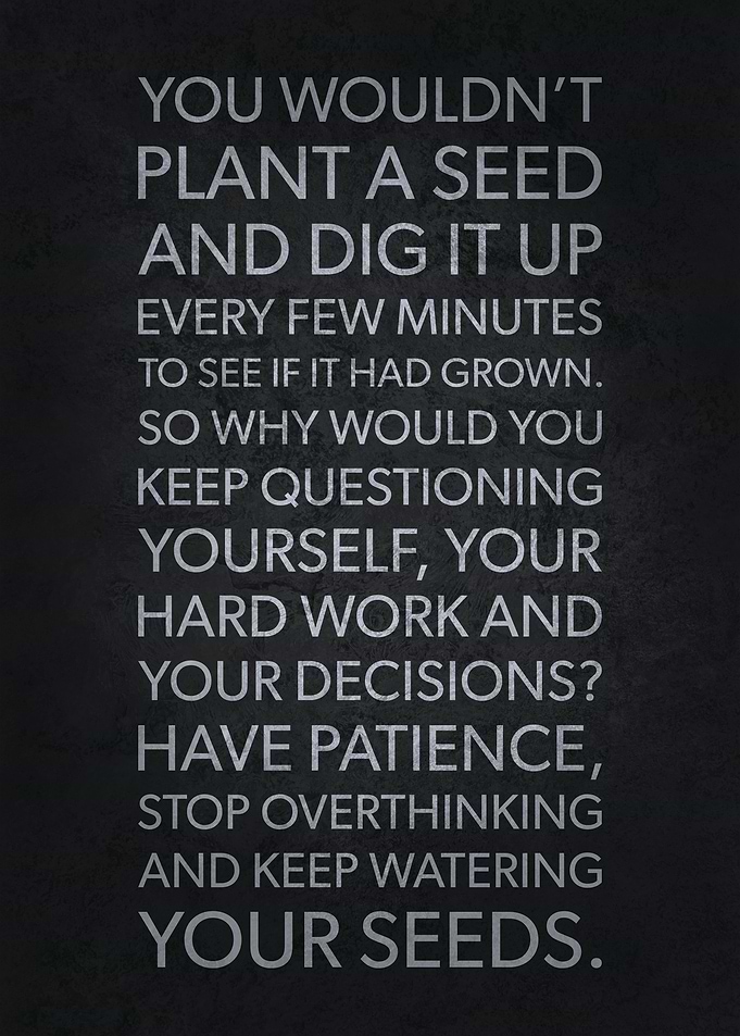 Keep Watering Your Seeds