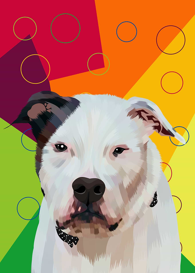 profil dog