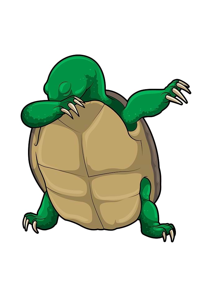 Turtle Hip Hop Dance Dab