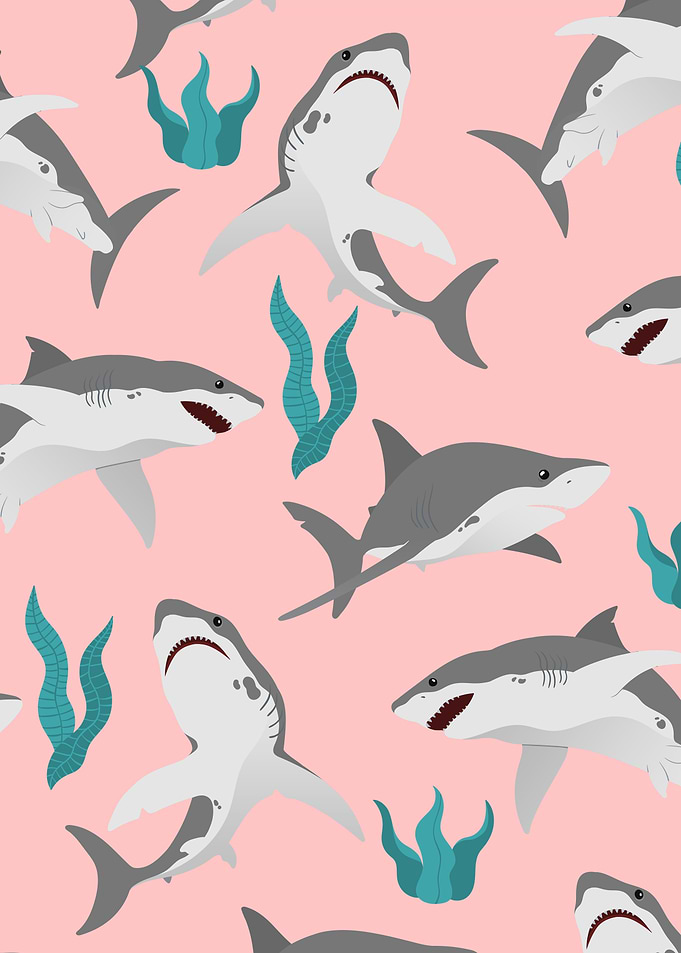 Shark