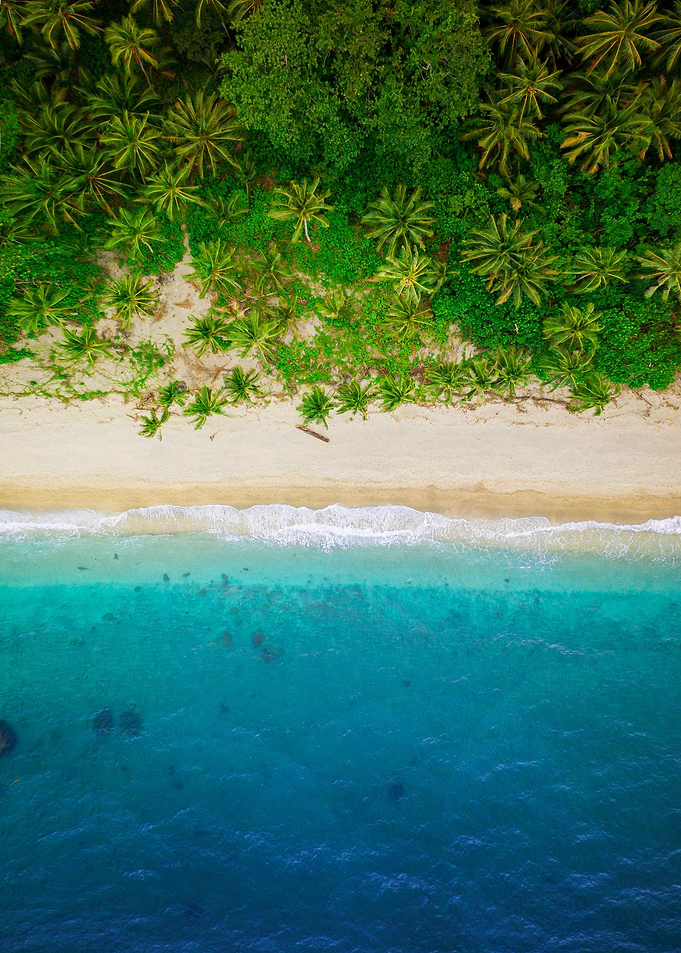Tropicals