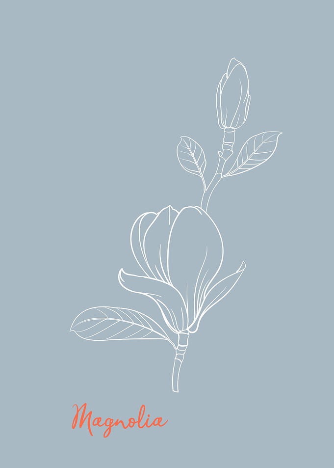 Magnolia Flower