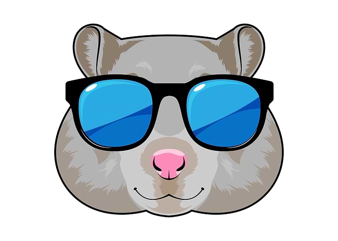 Hamster Sunglasses