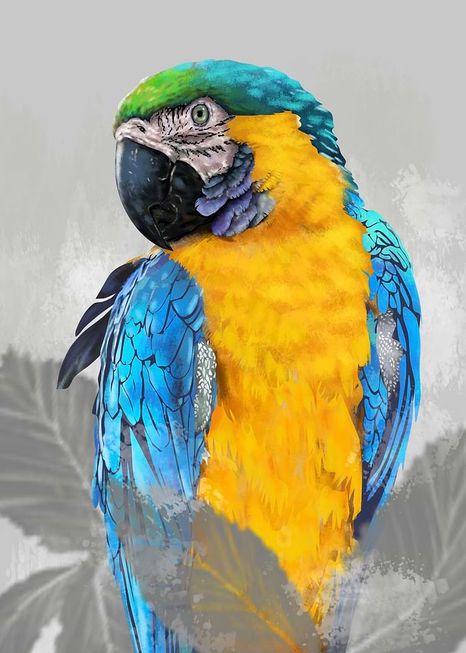Tropical Parrot