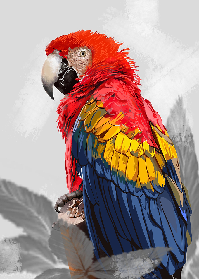 Tropical Parrot