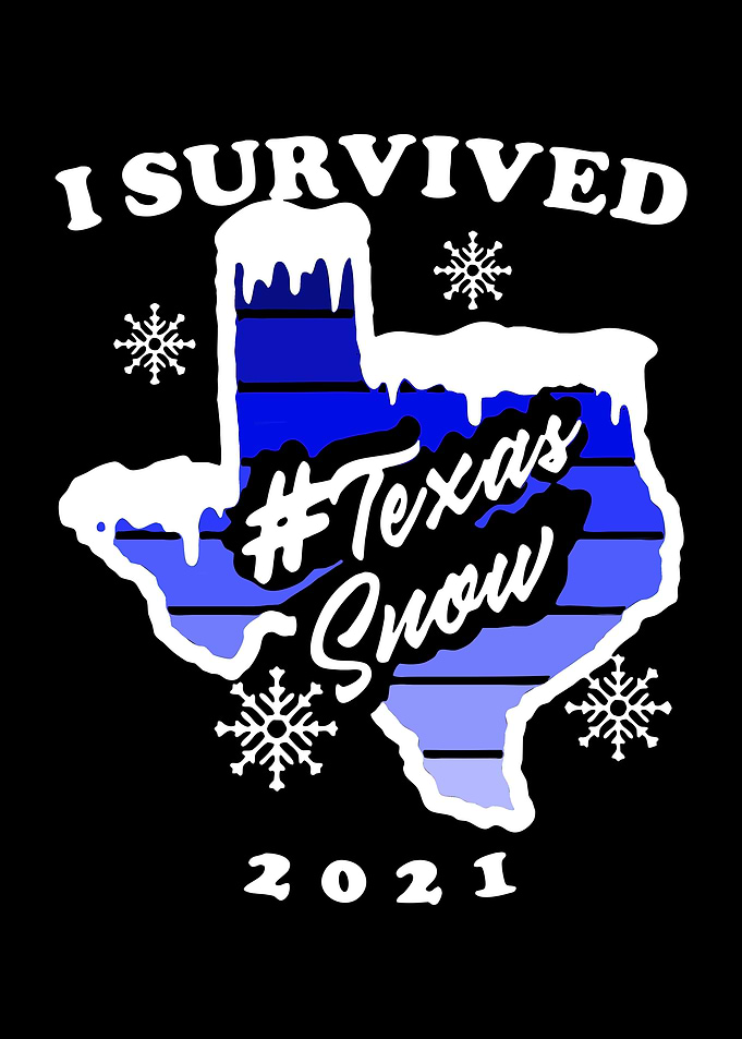 texas snow