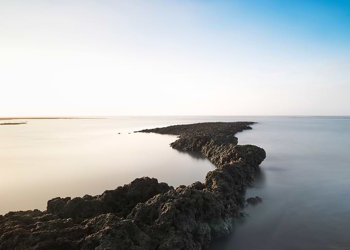 Extended algal reefs