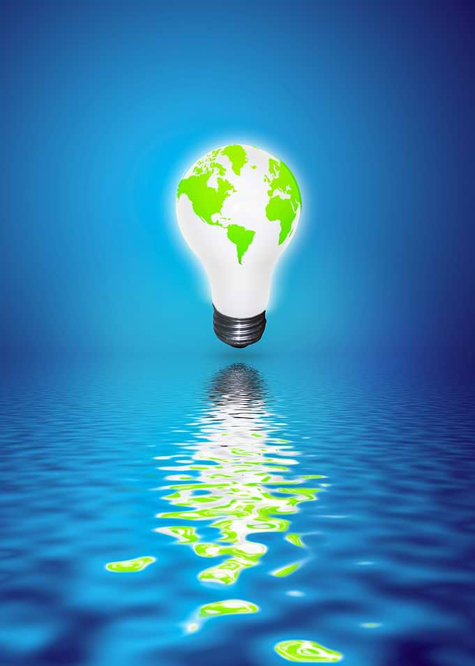 Earth Light Bulb