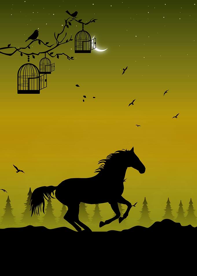 Horse