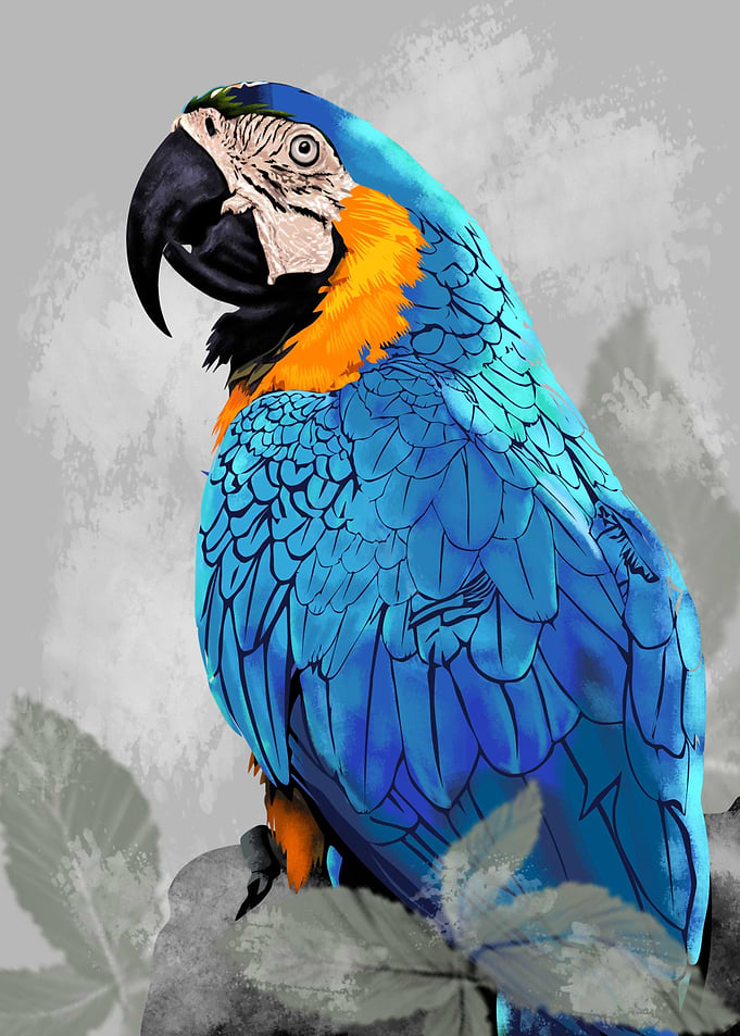 Tropical Parrot