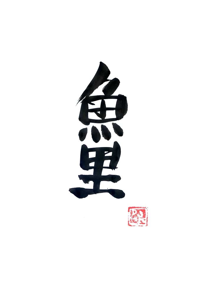 carp koi white