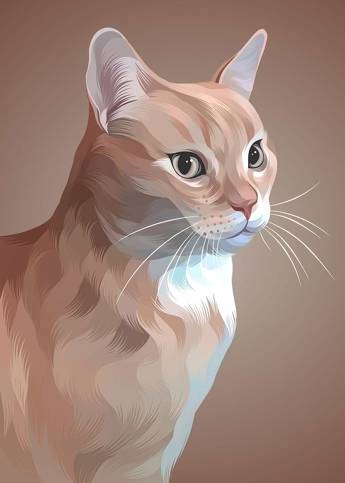 cute cat 2