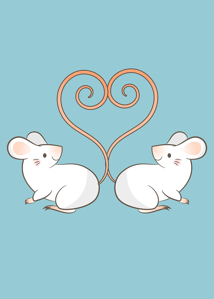 Cottagecore Rat Tail Heart
