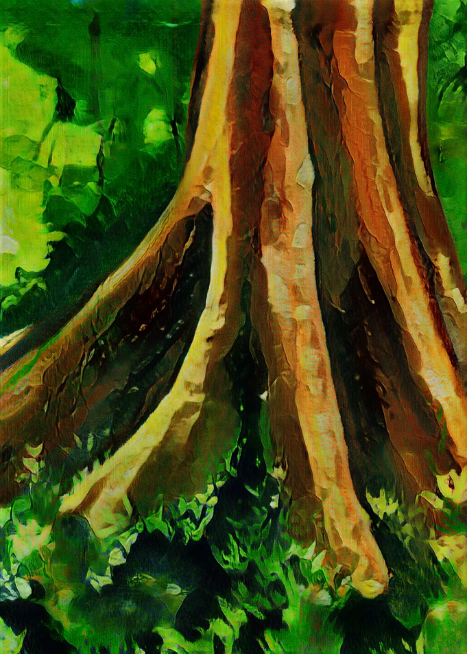 Amazon Kapok Tree
