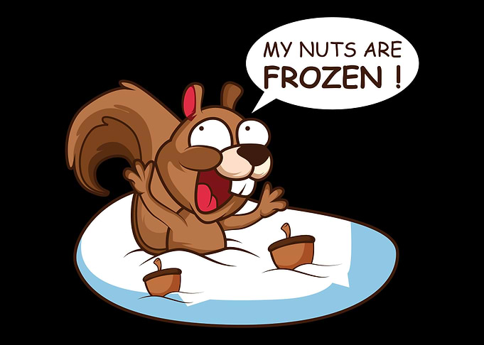 Nuts Frozen Pun Creator Gi