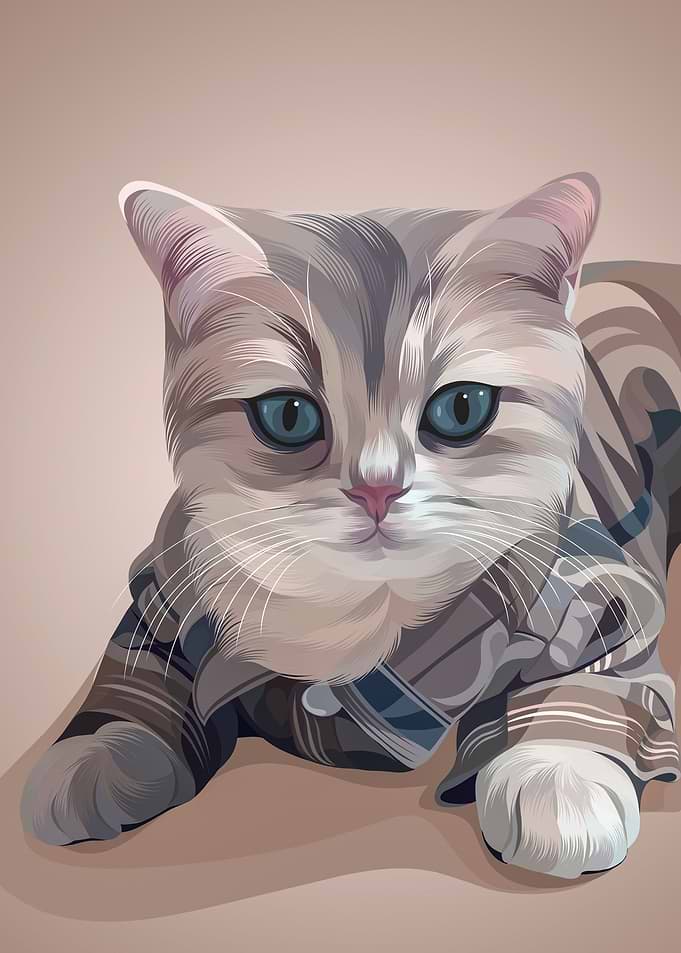 Cute Cat