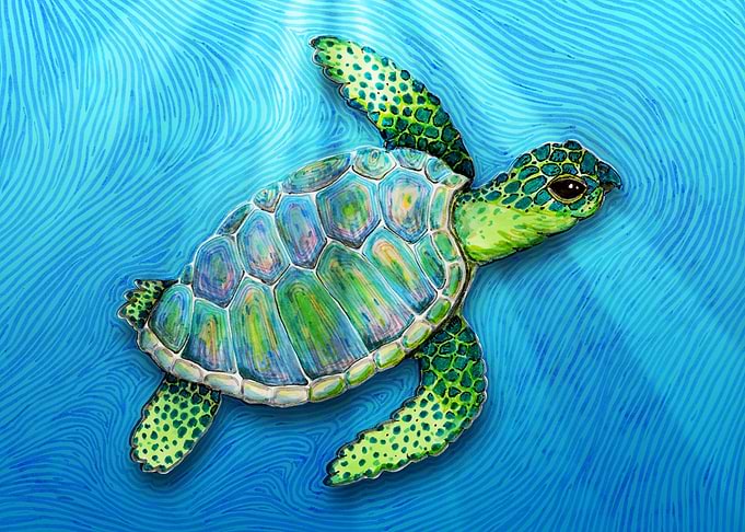 Swimming turtle