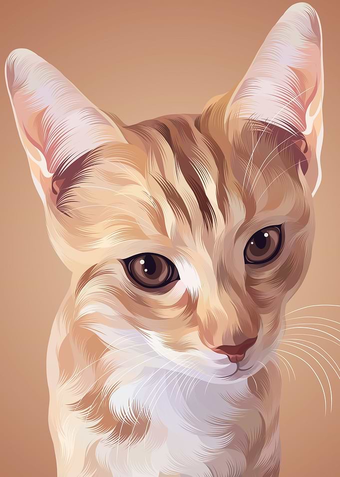 Cute cat