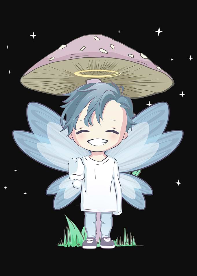 Fairycore Fairy Anime Boy