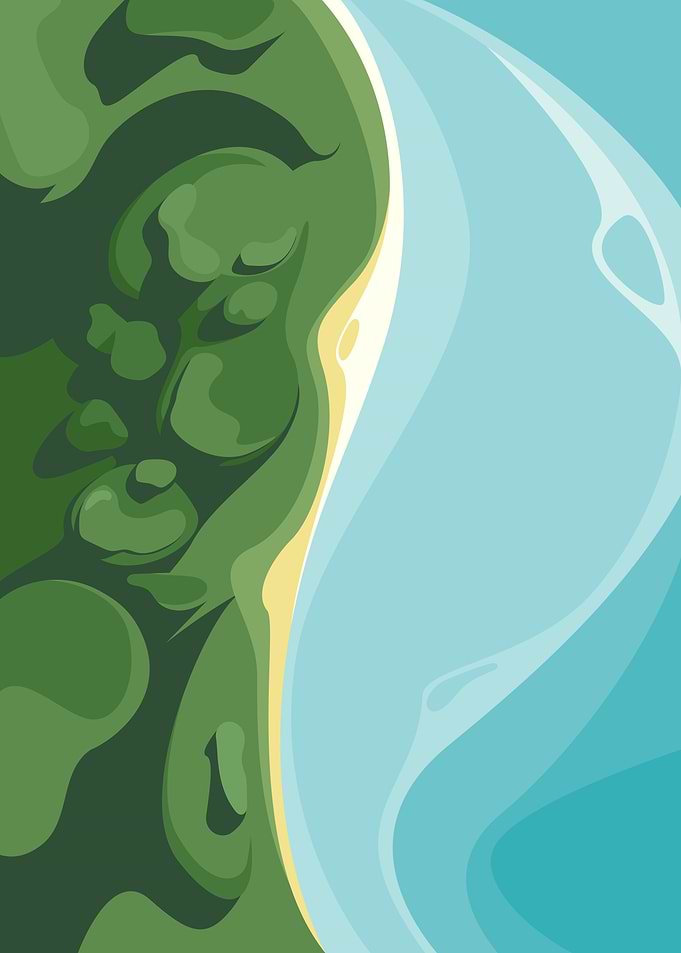 Forest and ocean